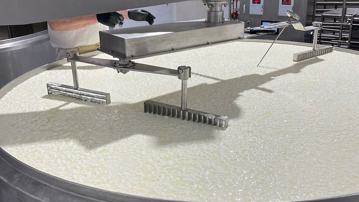 Batch pasteurizers, stainless steel tanks, and cheese vats for dairy processing.