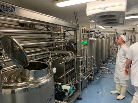 Greek Yogurt Production