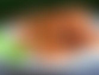 Sweet Potato Kebabs with Honey Lime Glaze