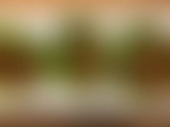 Shrimp Lettuce Wraps