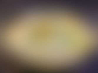 "Instant" Chicken Soup