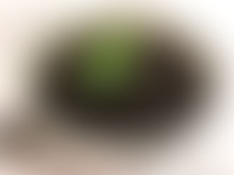 "Instant" Black Beans