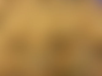 Mini Pumpkin Muffins