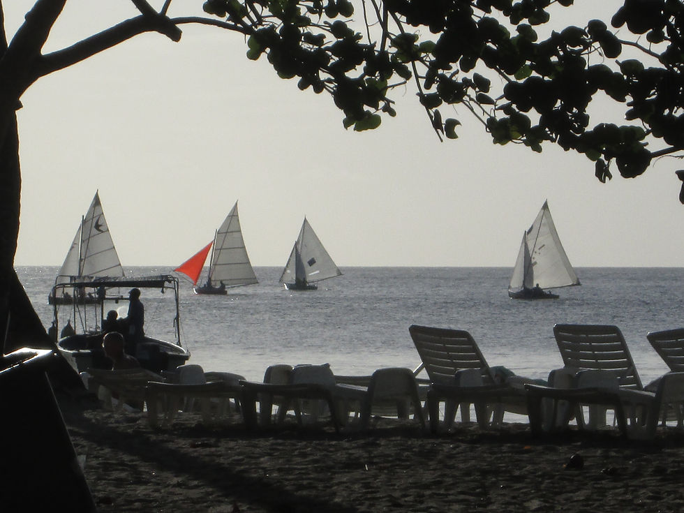 Regatta