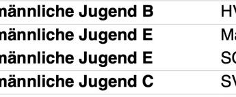 Erfolgreiche Jugendmannschaften