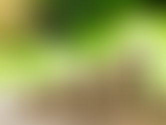 จุดยืนนานาประเทศ กับแนวทางพิชิต Net Zero สู่การเปลี่ยนแปลงเศรษฐกิจสีเขียวด้วยแนวคิด ESG