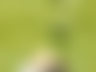 นโยบายการเงินสีเขียว ช่วยลดโลกร้อน?