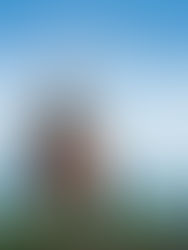 13/03/21 - "A Partida" e "Órgão Independente" - Yojiro Takita e Haruki Murakami