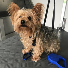 WhatsApp Image 2020-06-22 at 08.37.43.jp