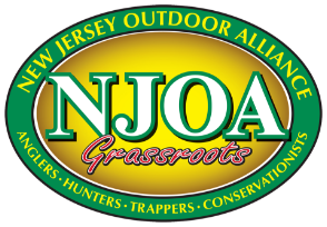 njoa.png