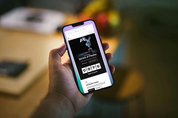 email sample - main.jpg