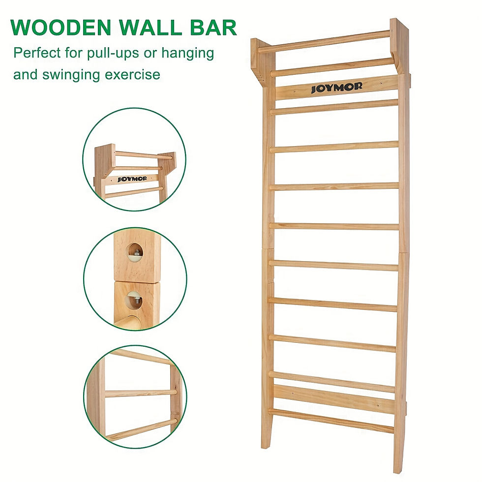 Multi-Use Gymnastics Ladder with Wall Mounted Pull Up Bar - Ideal for Stretching