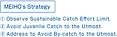 明豊の取り組み(英)2+.png