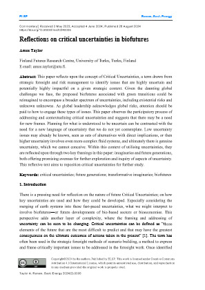 Project Result Preview - Critical Uncertainties