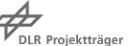 Project Result Preview - DLR Project Management Agency