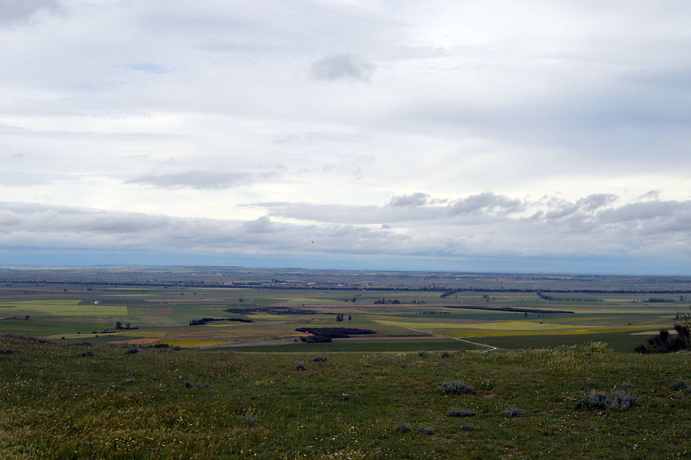 Autilla del Pino. Palencia.