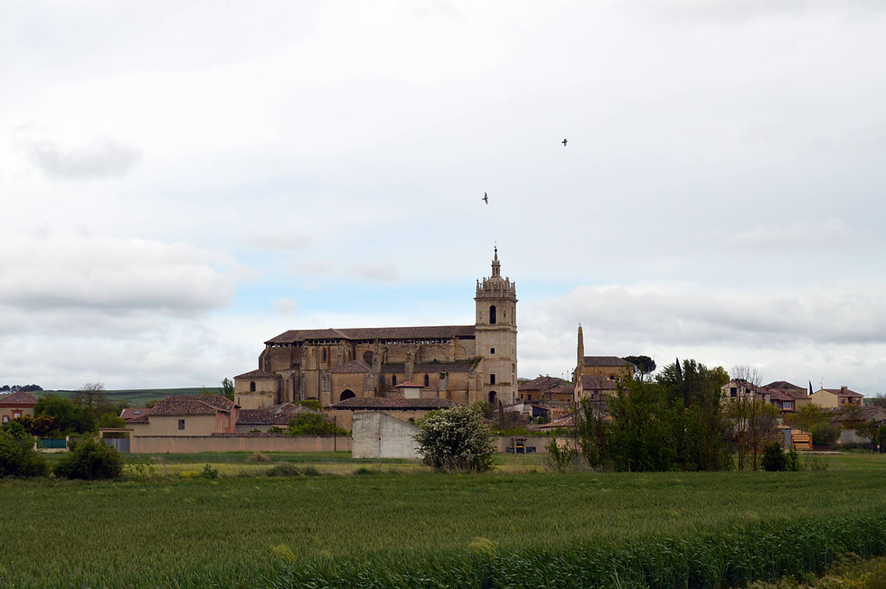 Vista general de Támara de Campos.
