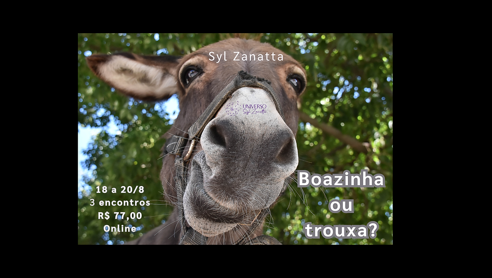 3 dias de "Boazinha ou trouxa?"