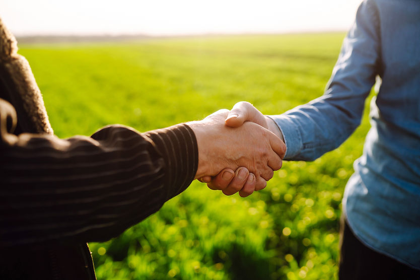 Farmer's handshake against the backdrop of a green wheat field. Successful deal. Agricultu