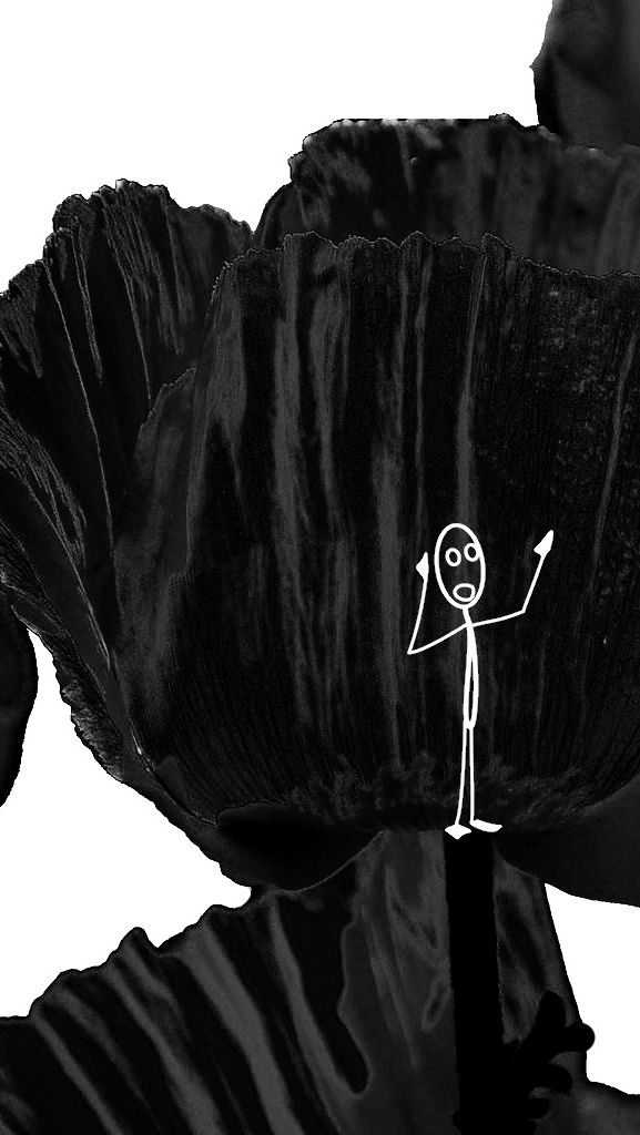 personnage discourant dans une marguerite noire
