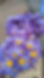1693583515166.jpg