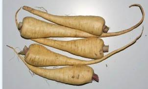 перелік заборонених тем в ELT легко запамятати по перших буквах слова PARSNIP