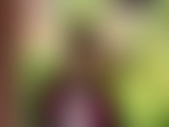 My Flagler College Experience