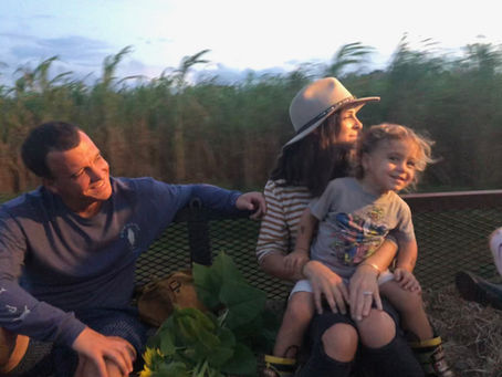 8 Must-See October Events in St. Augustine and a list of local pumpkin patches! 