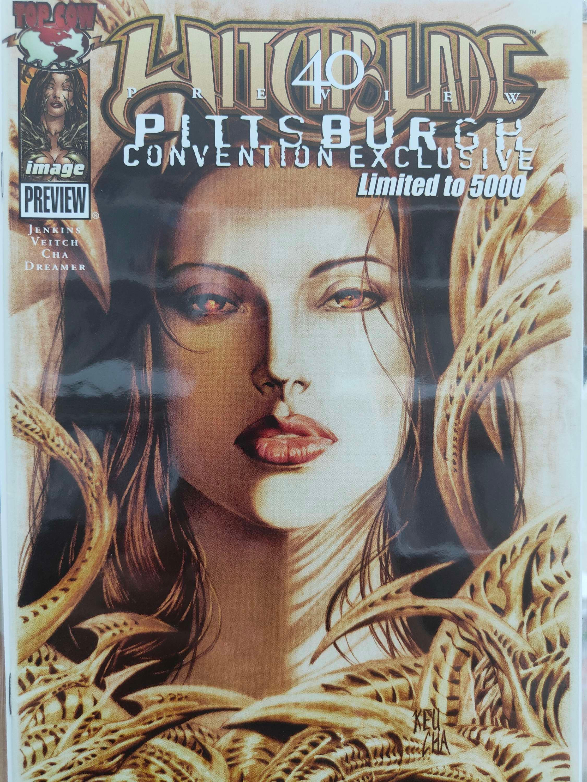 Witch Blade Preview Convention