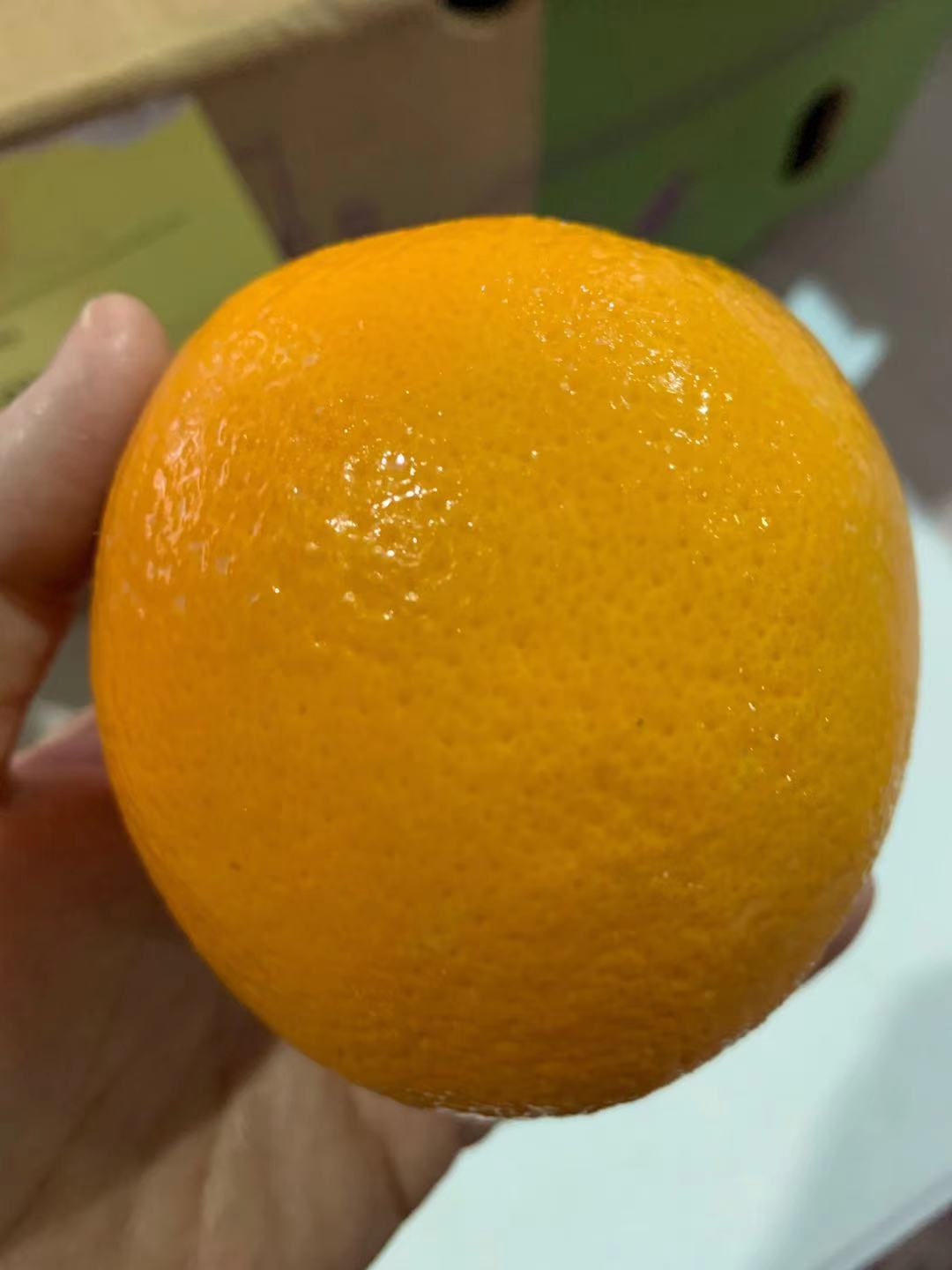 Citrus x Sinensis /lbs 新奇士橙