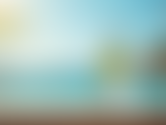 Little Hampton Sustainable Packaging