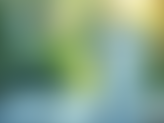 Glass of water placed outdoors in natural light, symbolising hydration, wellness, and healthy lifestyle