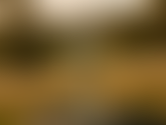 Our story begins in the Hepburn Region of Victoria, where mineral-rich springs shape the pure, balanced character of Little Hampton Spring Water.