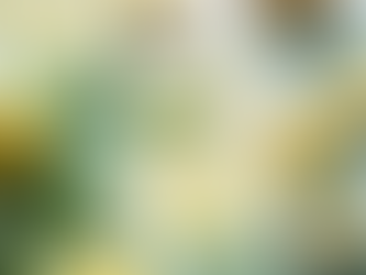 Good for you, better for the planet—an elegant alcohol-free mocktail with Little Hampton Sparkling Spring Water.