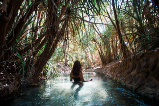 Pristine Australian spring water flowing through rocks in Victoria’s Hepburn Region, symbolising purity and freshness.