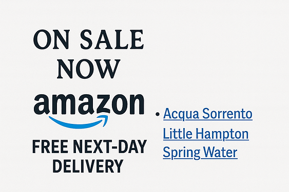 Amazon Free Next Day Delivery