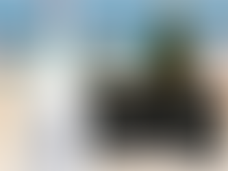 Little Hampton Sparkling Spring Water bottle and Peninsula Springs cans displayed on a sunny Australian beach with Christmas tree and striped umbrellas in the backgroun