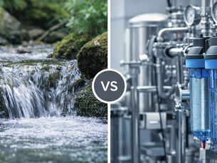 Spring Water vs Purified Water: What’s the Difference for Hospitality & Retail?
