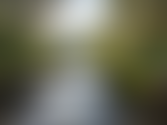 Australian spring water source in Hepburn region showing natural landscape and pure water environment