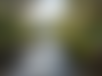 Australian spring water source in Hepburn region showing natural landscape and pure water environment