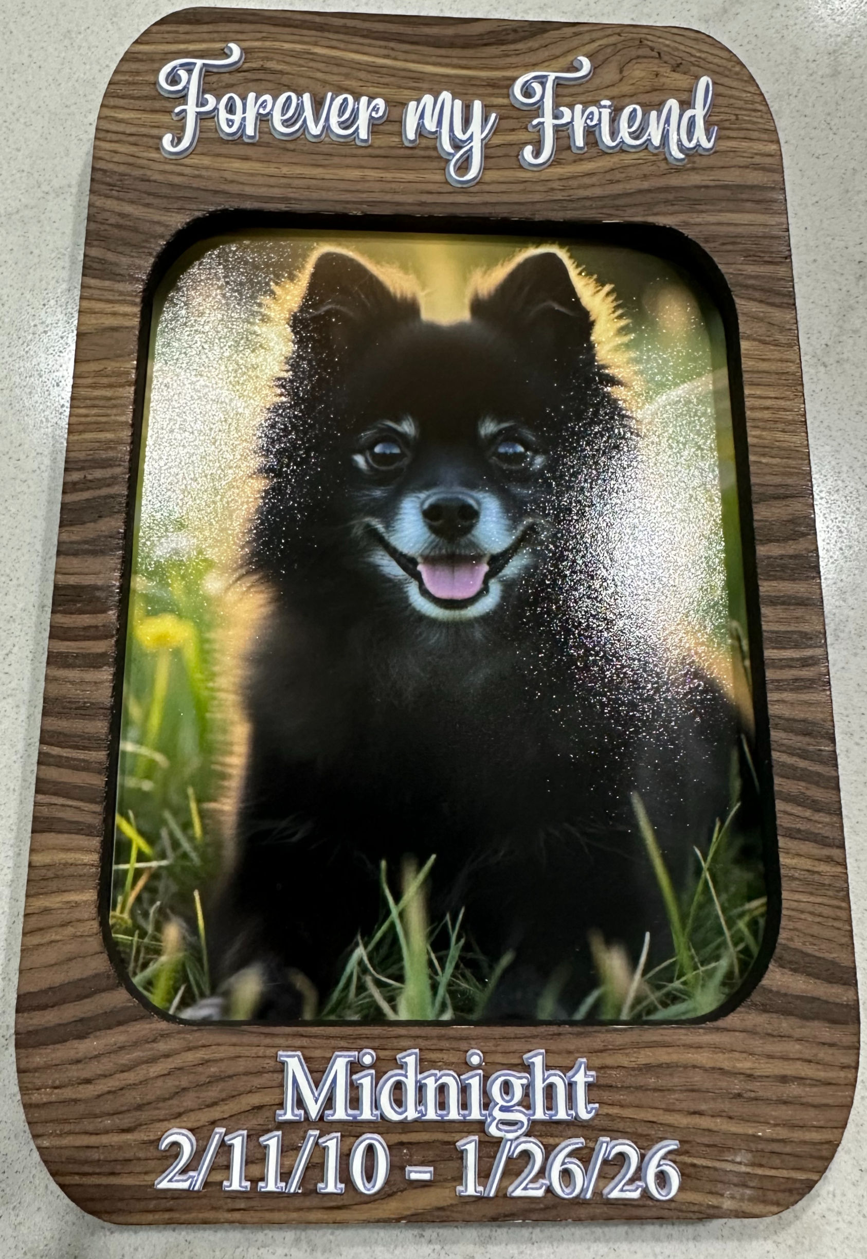Pet Memorial