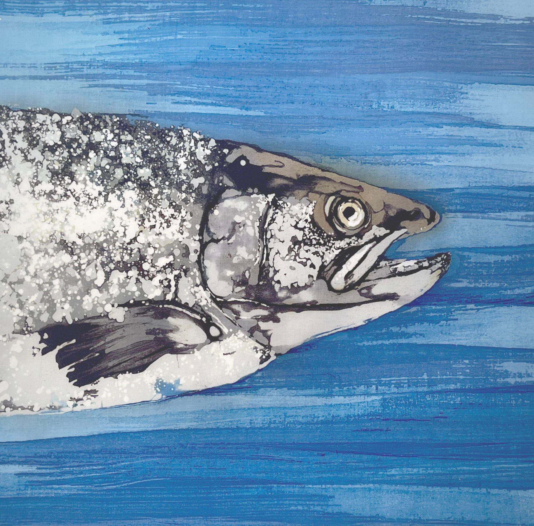 Salmon