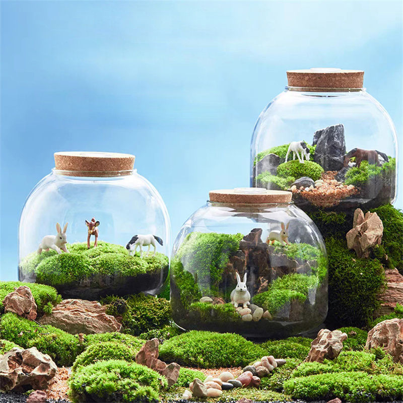 Thumbnail: Micro Landscape Moss Terrarium – Handmade Glass Vase with Cork Lid