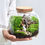 Thumbnail: Micro Landscape Moss Terrarium – Handmade Glass Vase with Cork Lid