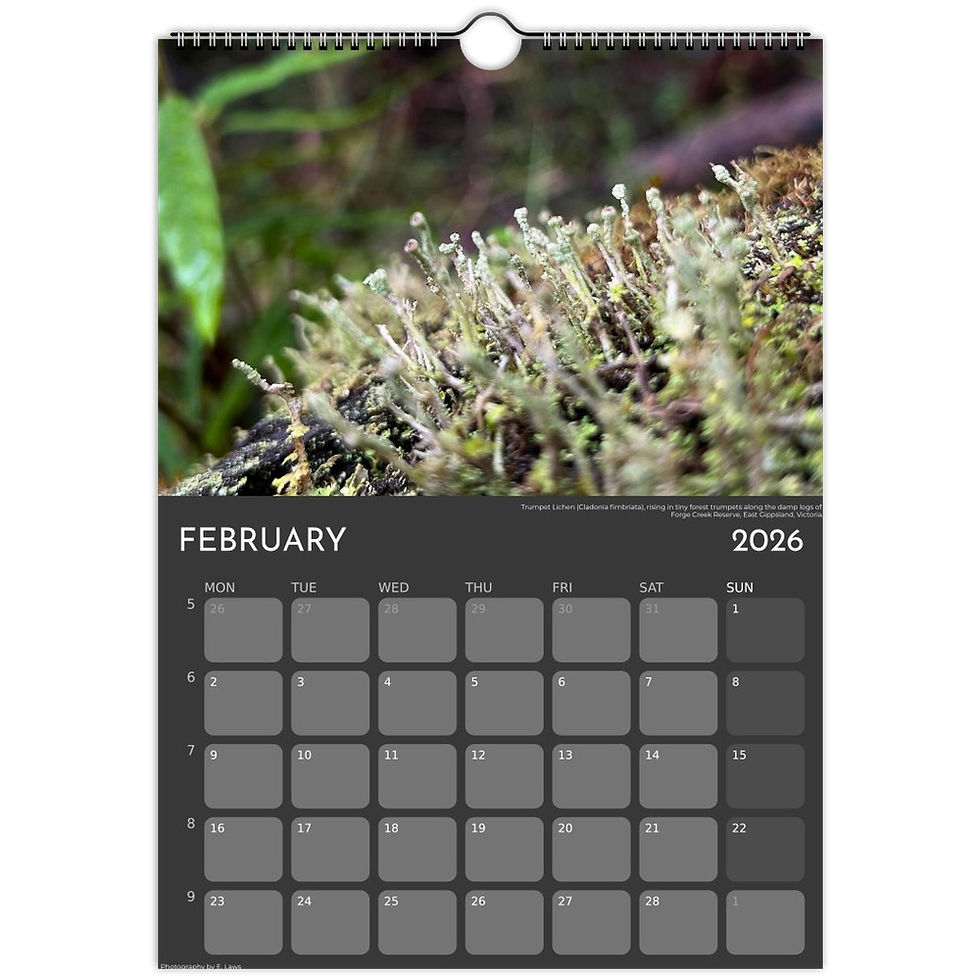 Thumbnail: 2026 Moss & Lichen Eco-friendly Wall Calendar A4, Australian Nature Photography
