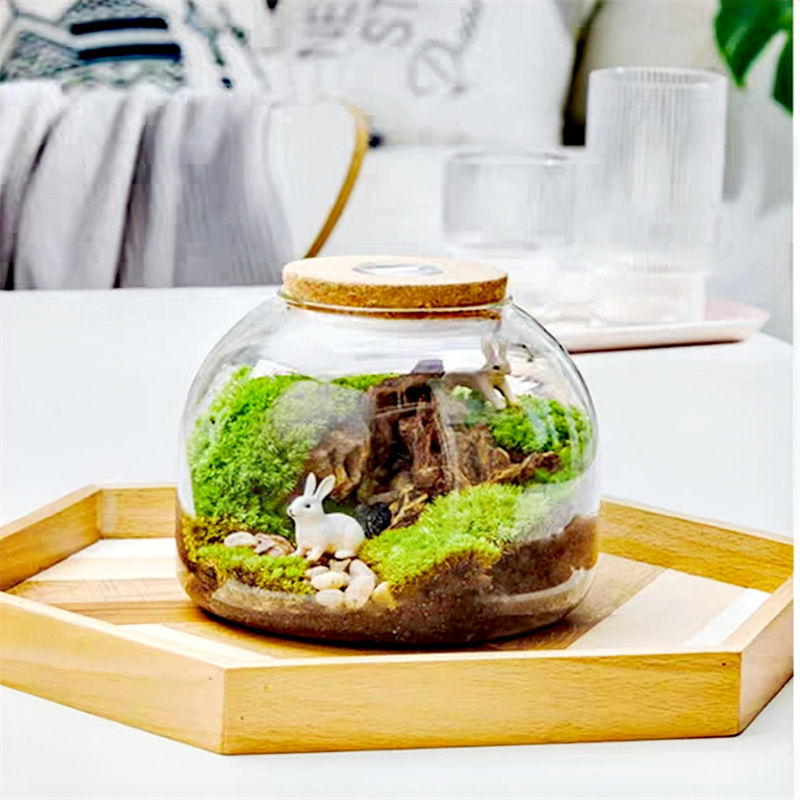 Thumbnail: Micro Landscape Moss Terrarium – Handmade Glass Vase with Cork Lid