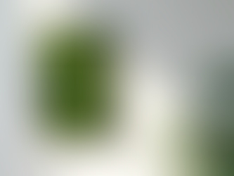 Bringing the Forest Home: Simple Moss Décor Ideas