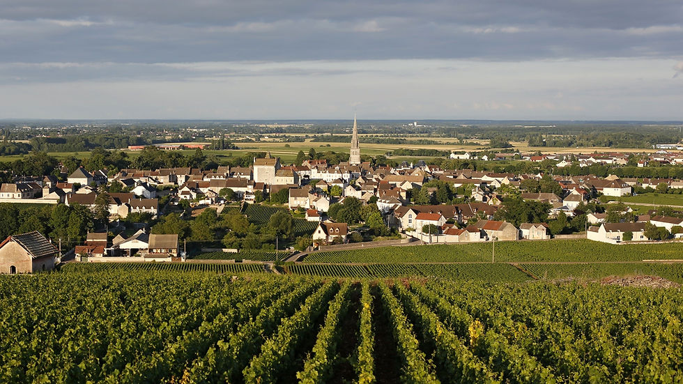 meursault-premier-cru-3206-1-3.jpg
