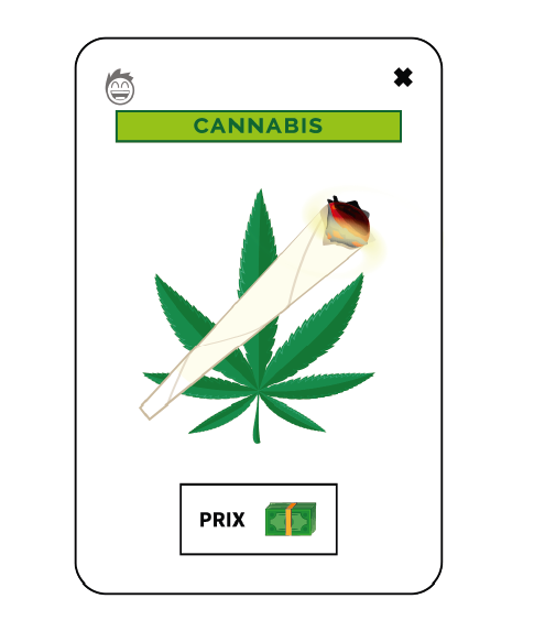 Cannabis