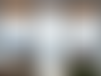 Office Privacy Window Film Solutions for Toronto Workspaces